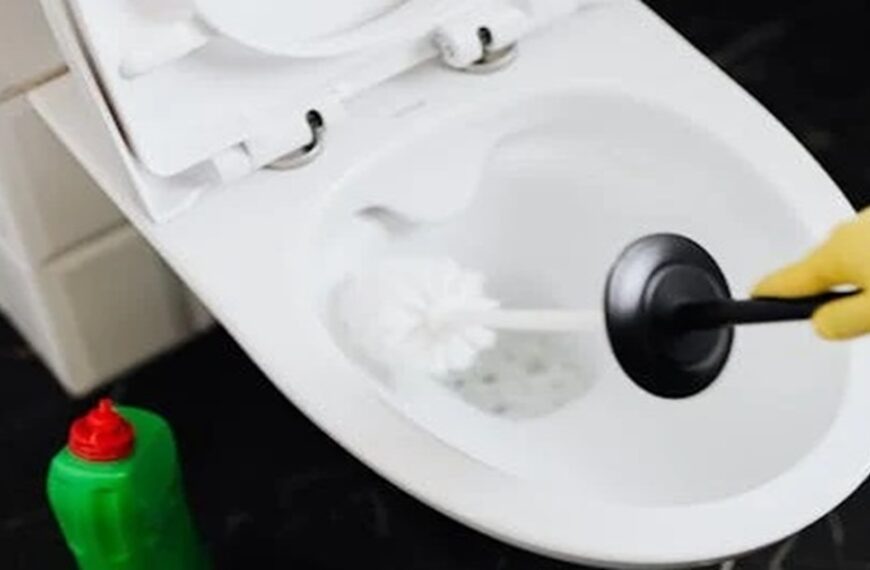 Dit is de reden waarom je afwasmiddel in je wc moet gieten