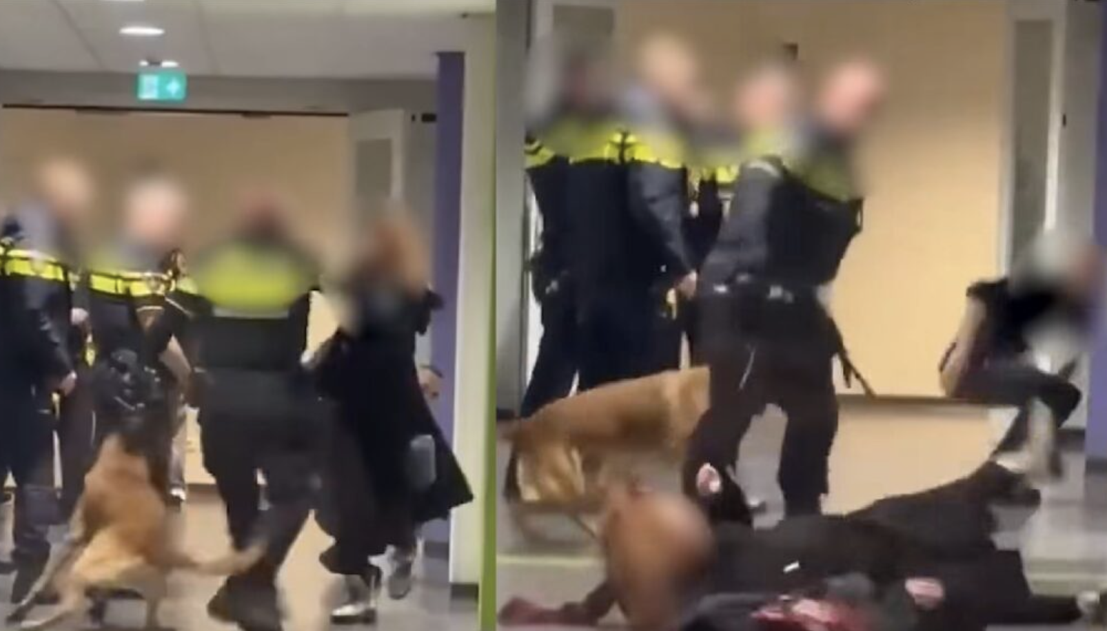 Agent gooit zwangere vrouw tegen de grond, haar man gaat vervolgens helemaal los