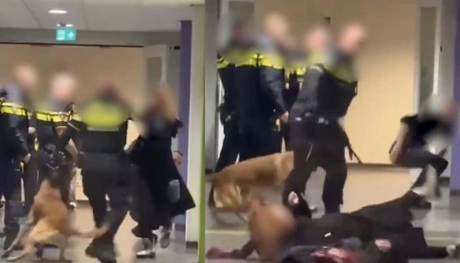 Agent gooit zwangere vrouw tegen de grond, haar man gaat vervolgens helemaal los