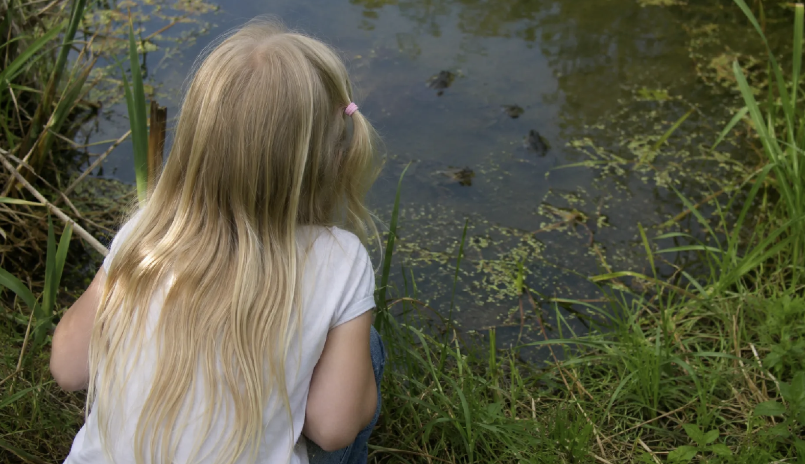 Rotterdammer verdacht van ernstig misdrijf meisje (7) dat naar kikkers keek