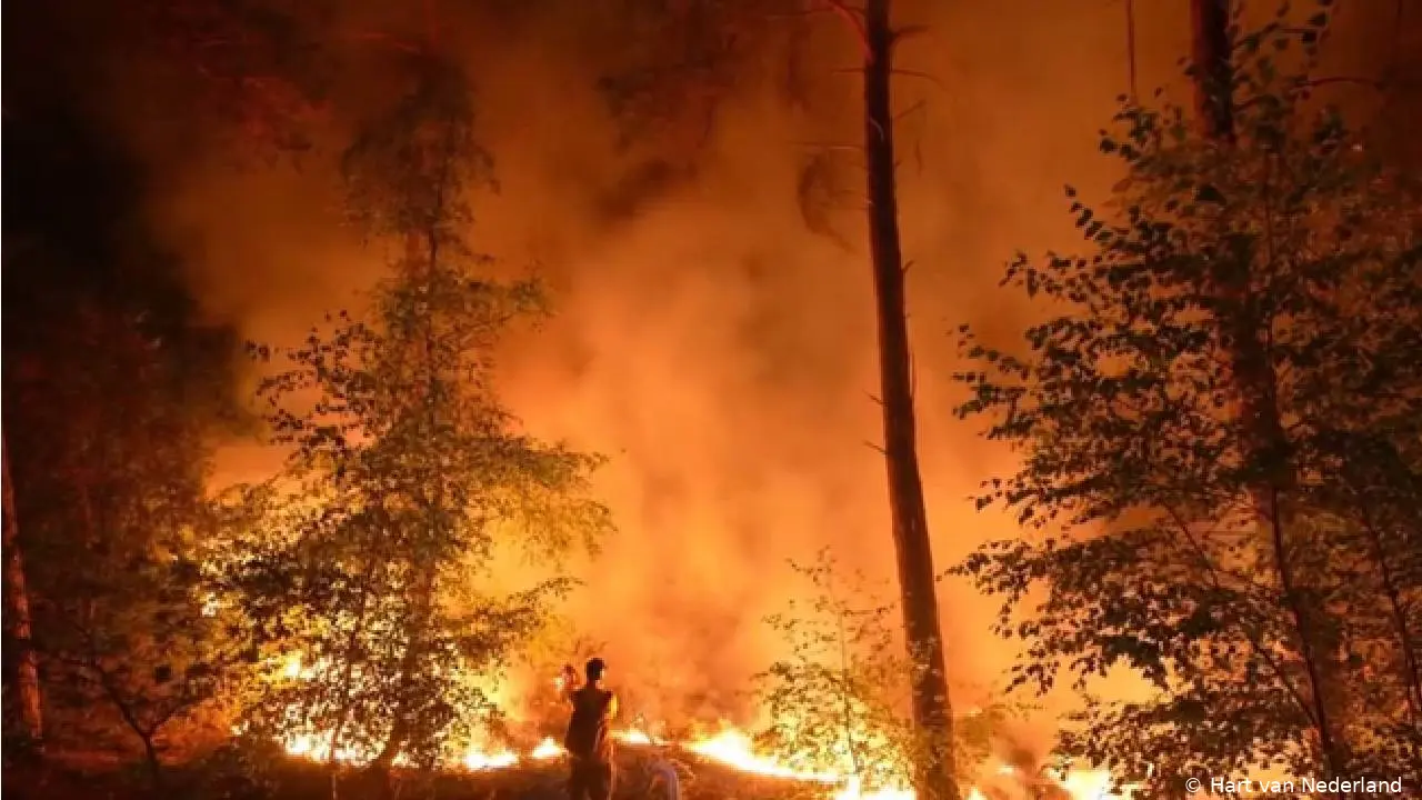 Natuurbrand in Noord-Limburg enorm uitgebreid: Brandweer meldt vreselijk nieuws