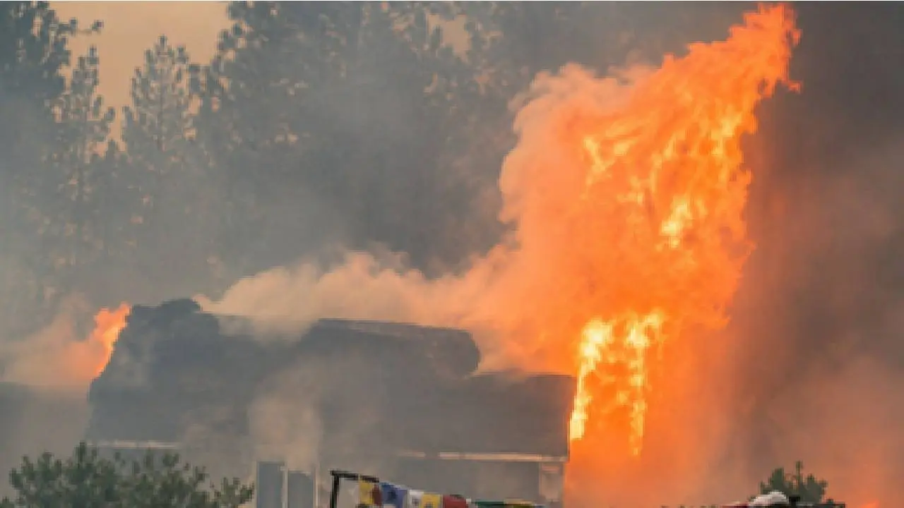 Bosbrand bereikt woonwijken: Honderden huizen in vlammen opgegaan